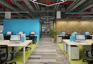 湖州城市盆栽菜基地供应